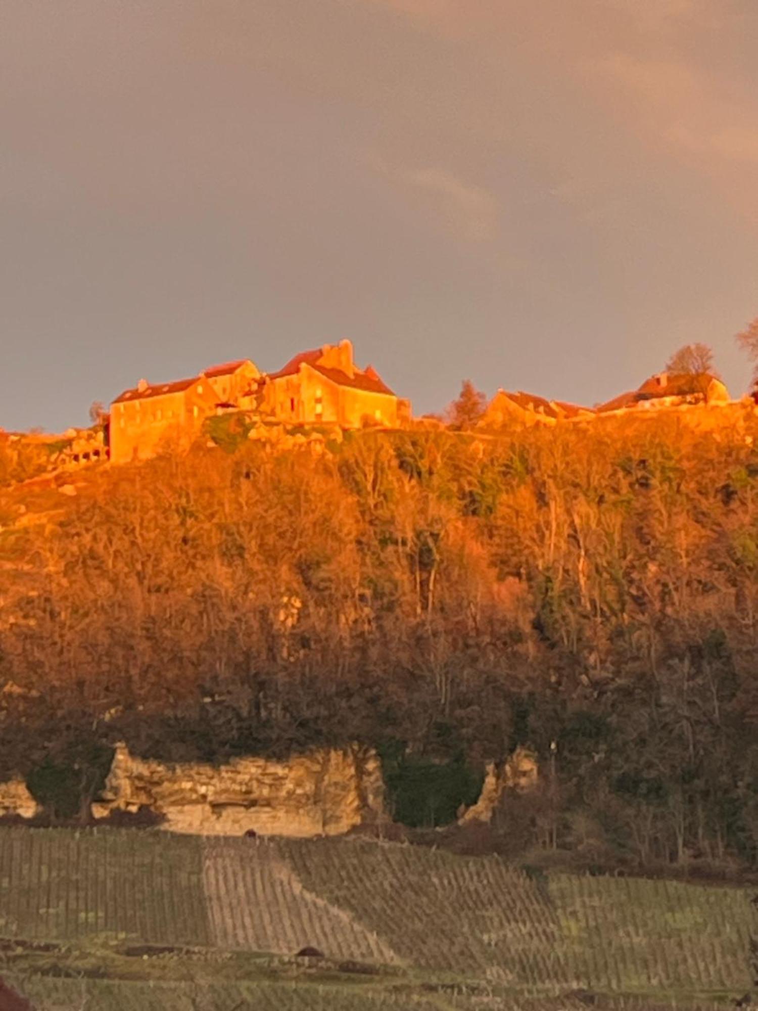 Gite Le Magnolia Voiteur Εξωτερικό φωτογραφία